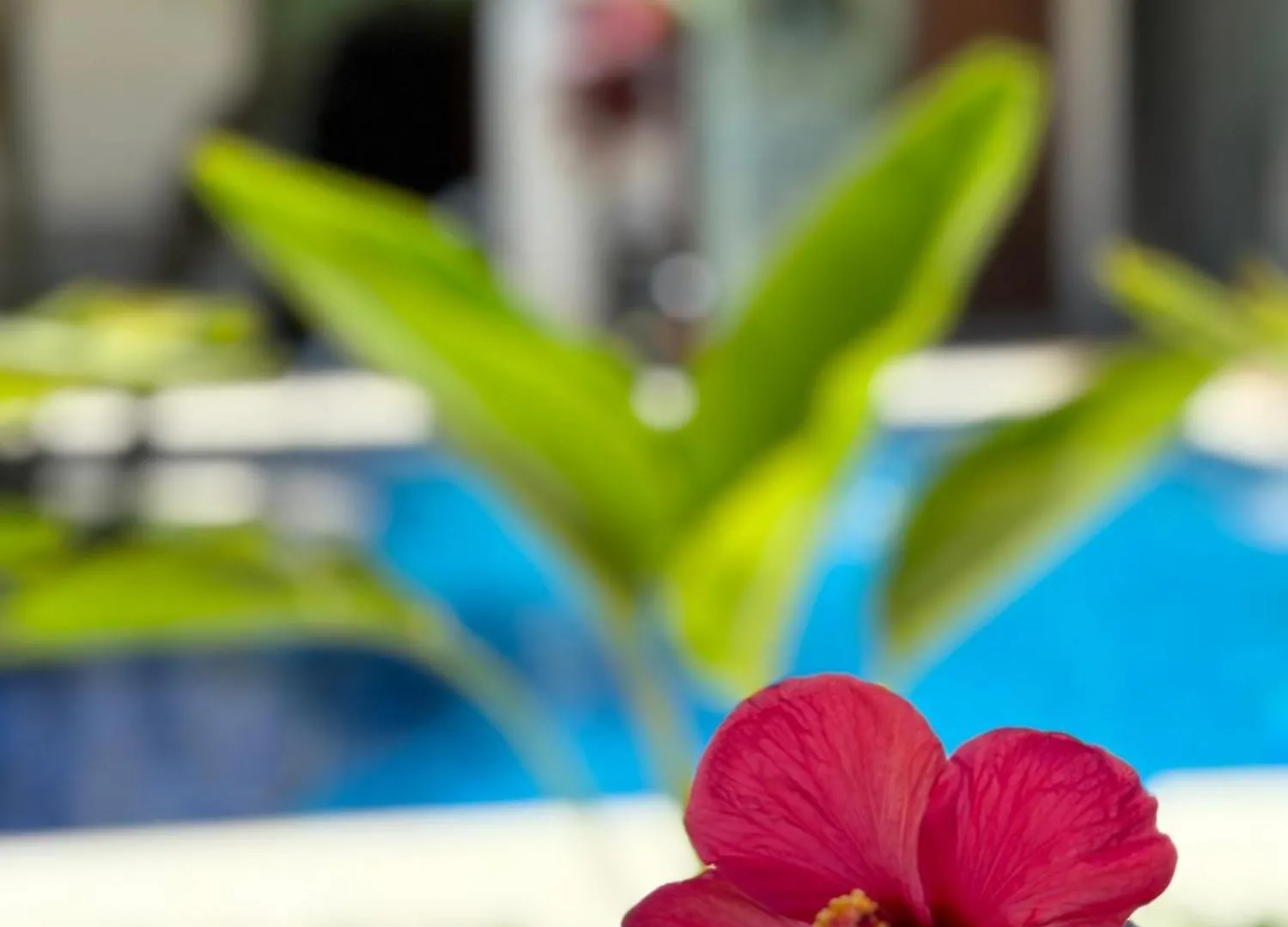 Apartamento Jardim do Rio Suítes Florianópolis Brasil